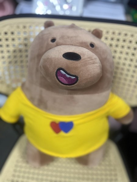 we bear bears